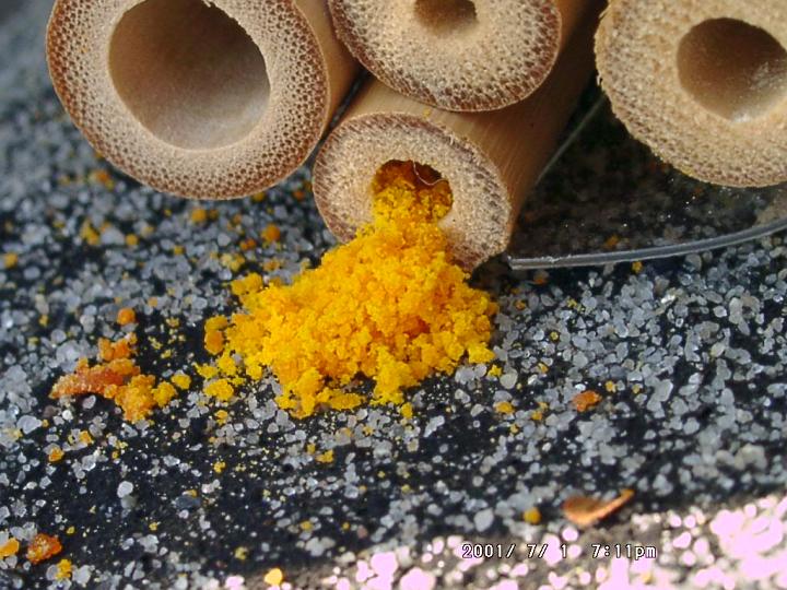 07011006.JPG - Hahnenfu�scherenbiene-Chelostoma florisomne